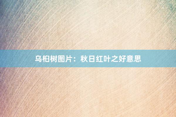 乌桕树图片：秋日红叶之好意思